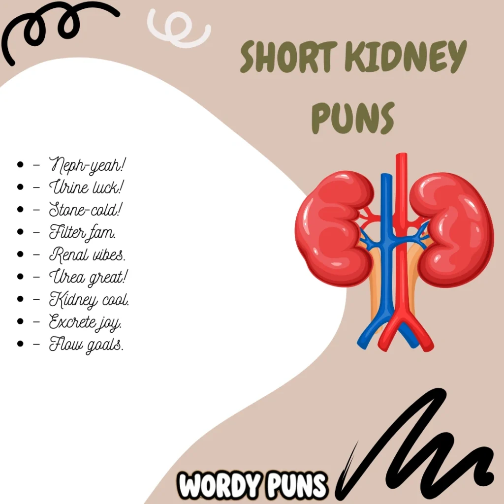 Short kidney puns