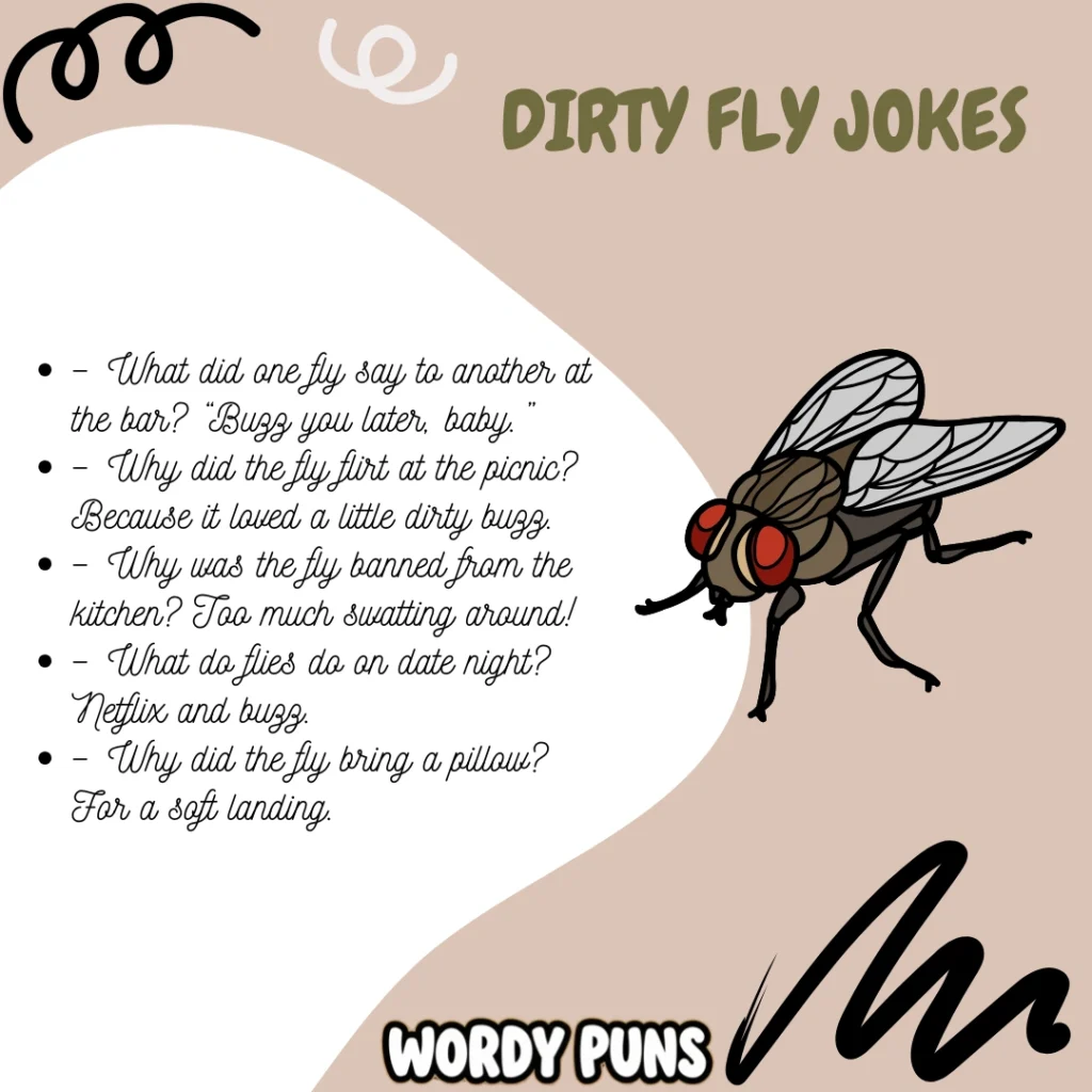 Fly Puns