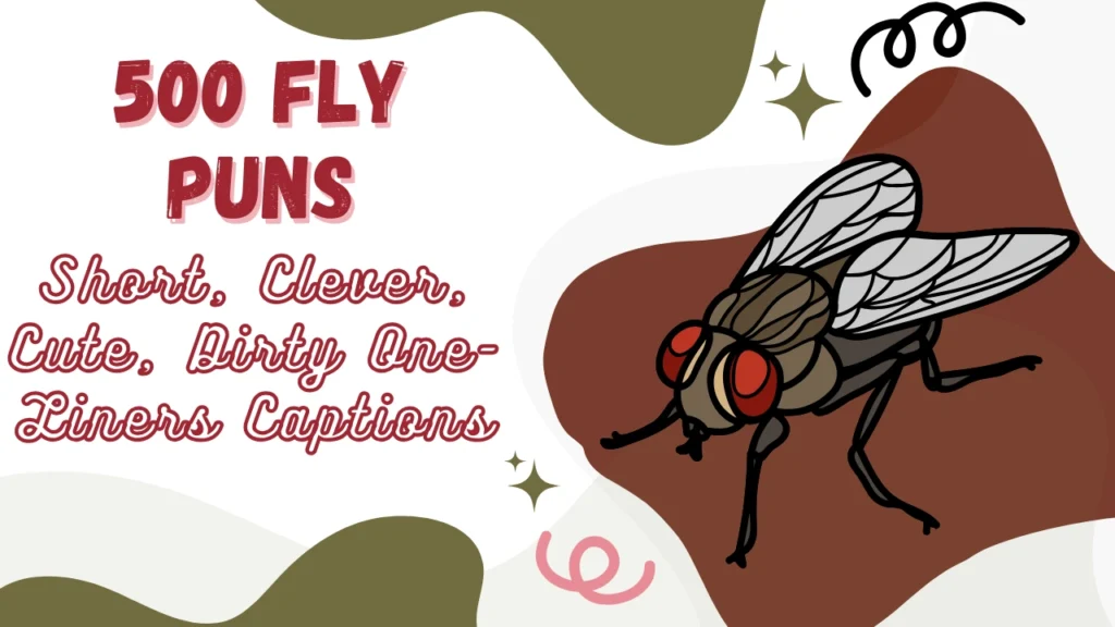 Fly Puns